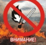 В Алтайском крае введен особый противопожарный режим. - Усть-Пристанский район
