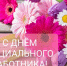 С Днем социального работника!. - Усть-Пристанский район