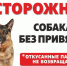Беспривязное содержание собак - угроза для жизни и здоровья человека. - Усть-Пристанский район